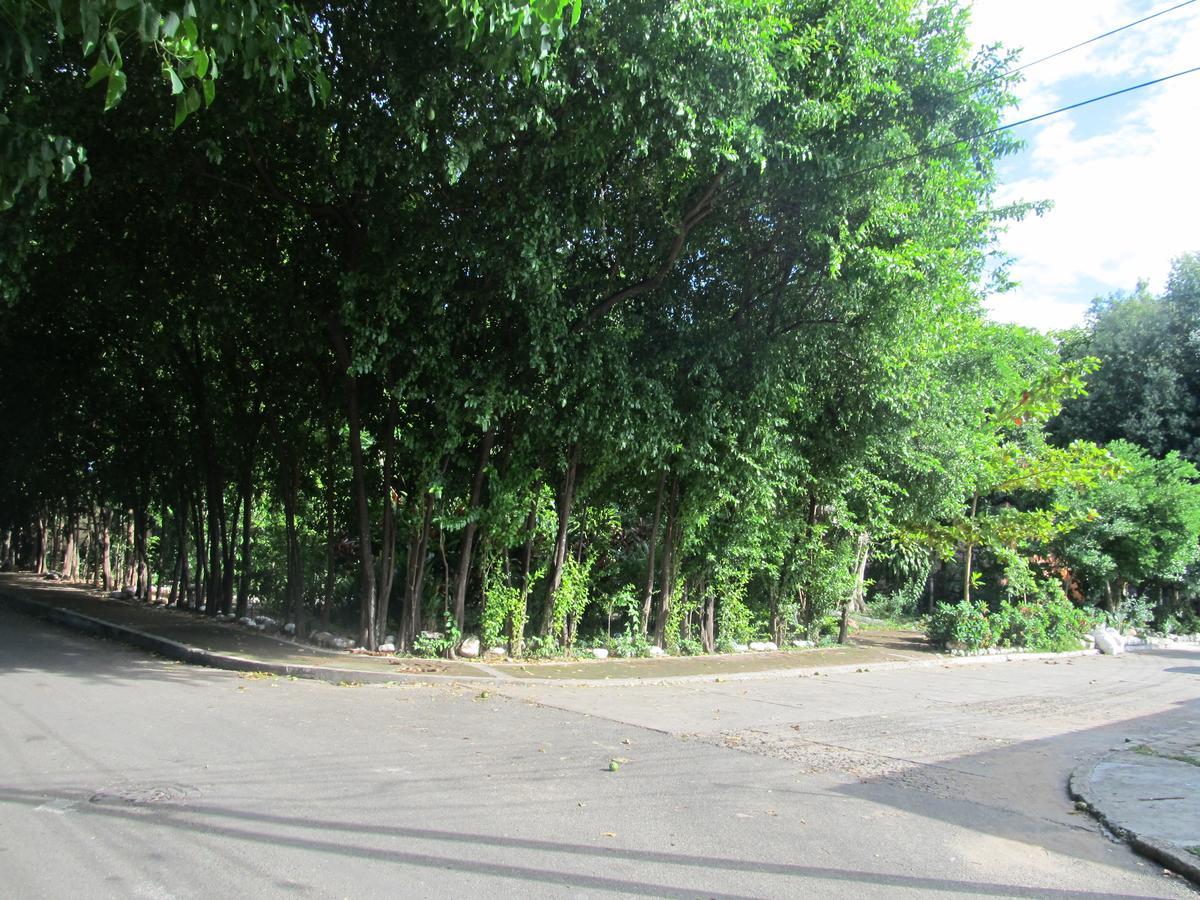 Backpackers And Travellers Hostel Нейва Екстер'єр фото